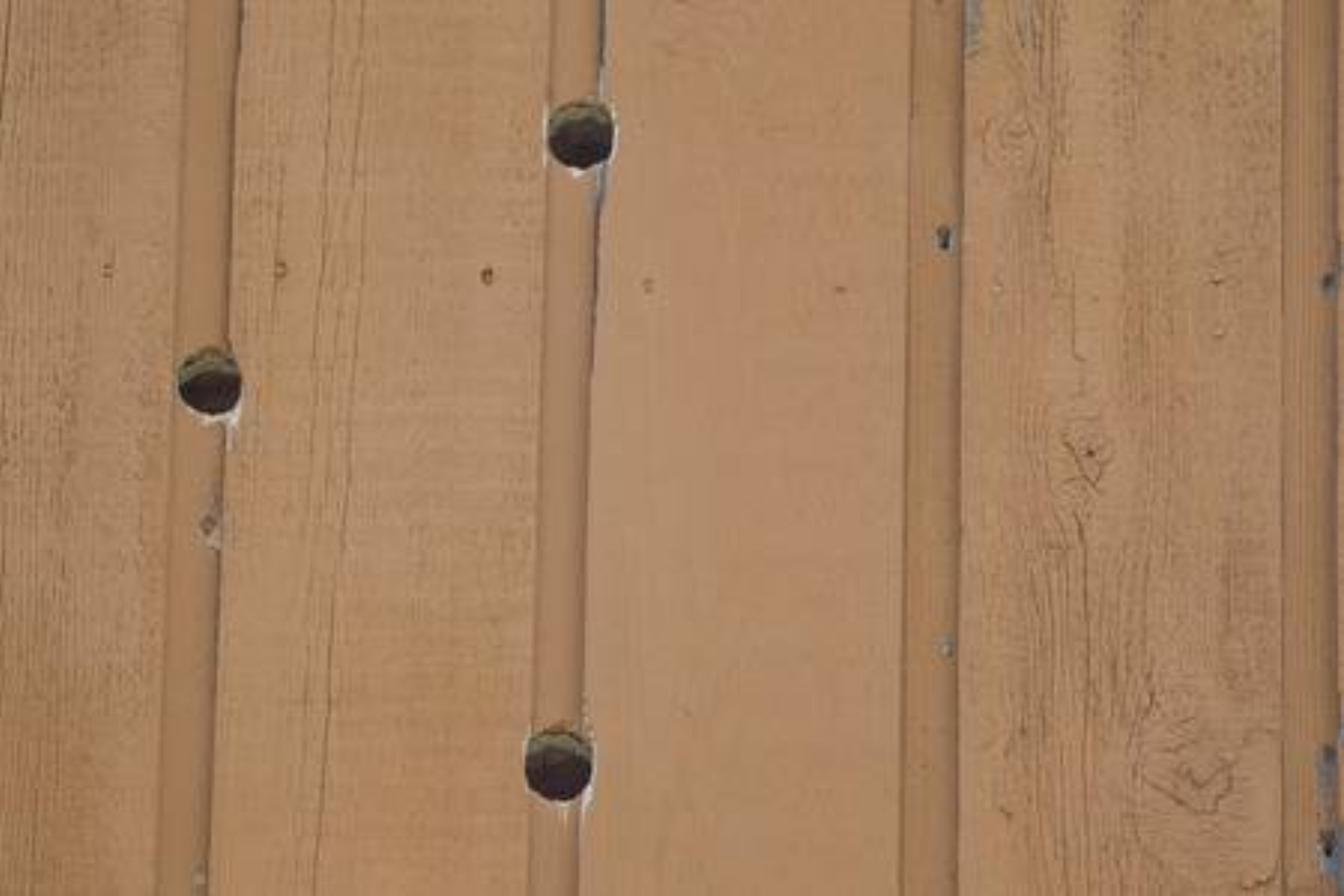 Choosing the Right Woodpecker Resistant Siding Allura USA