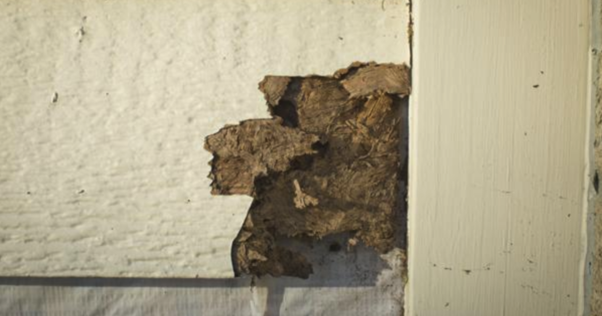 6 Common Problems with Masonite Siding Allura USA